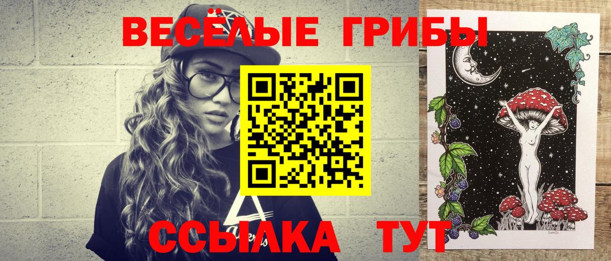 Псилоцибиновые грибы GOLDEN TEACHER Фрязино