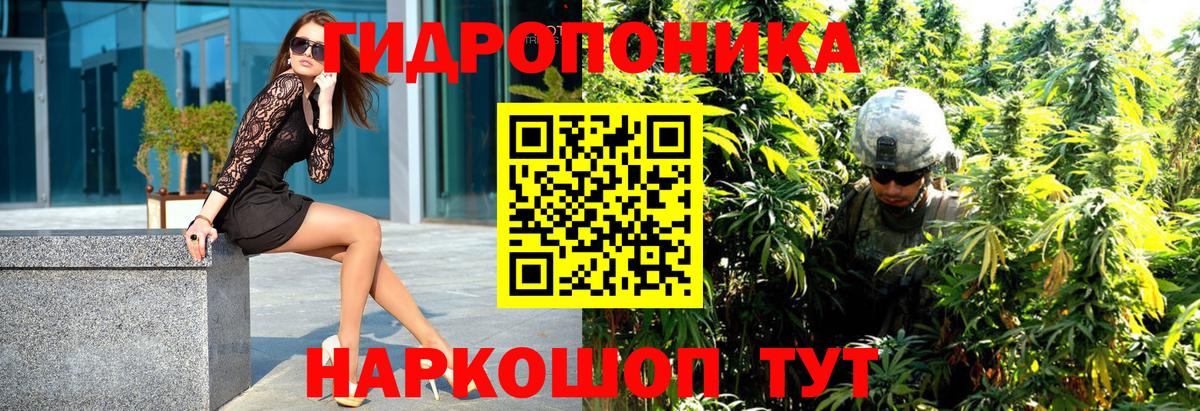 Меф Фрязино